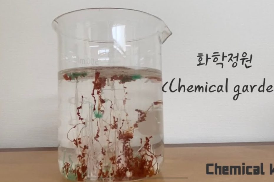 Chemical Garden/Sodium Silicate And Metal Salt - Youtube