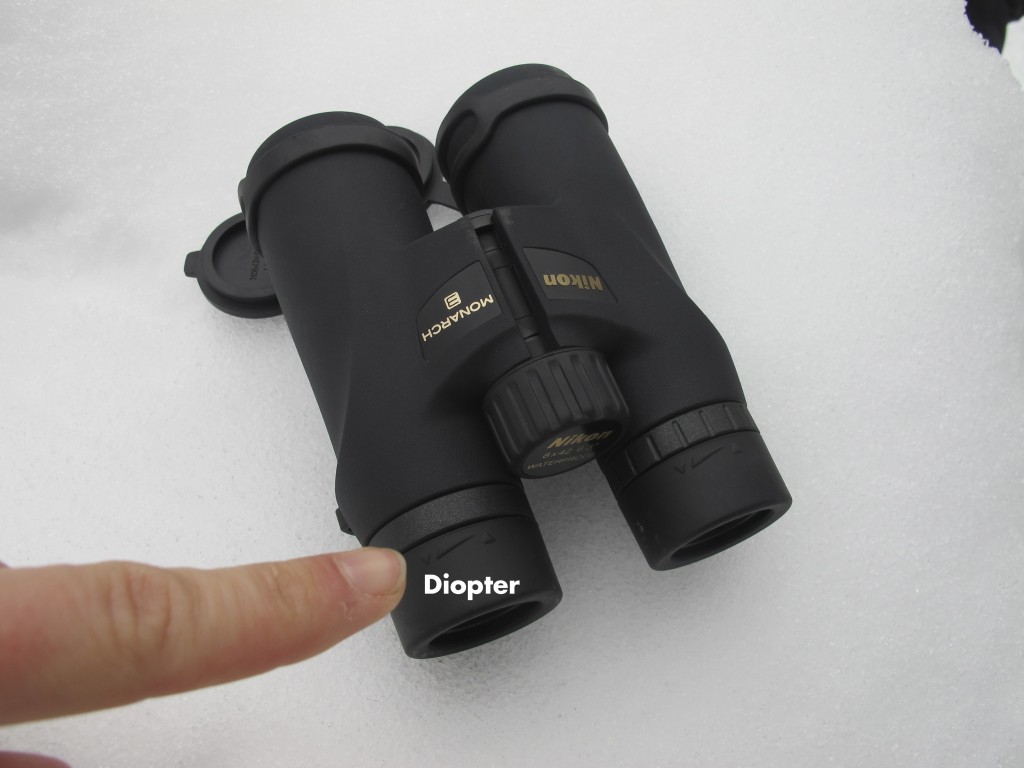 How To Choose Binoculars For Your Needs And Budget - Gearlab