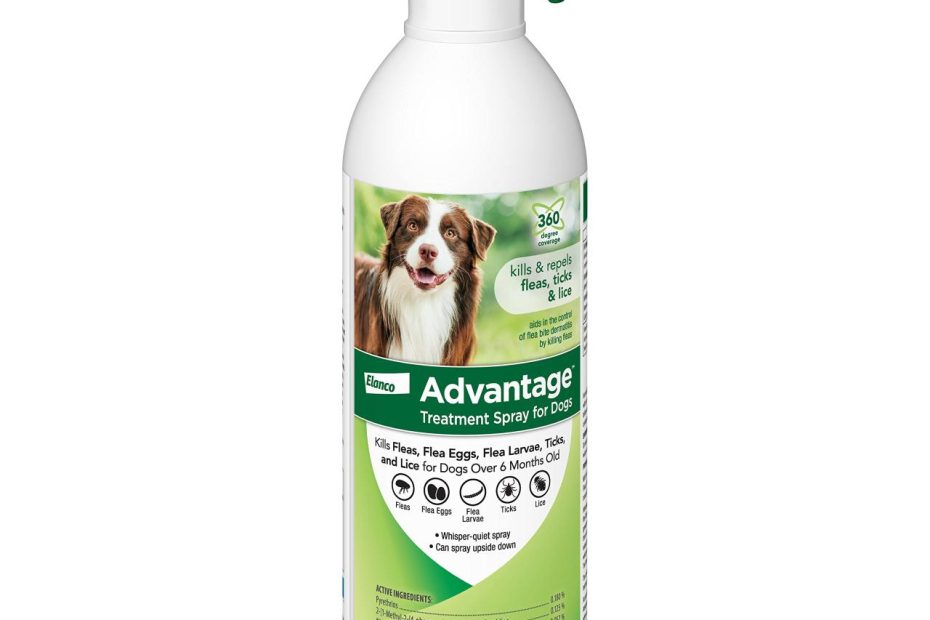 Amazon.Com : Advantage Flea And Tick Treatment Spray For Dogs, 8 Fl.Oz : Pet  Supplies