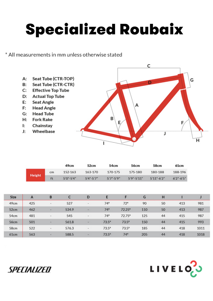 3 Fundamentals Of Correct Bike Size - Specialized Roubaix – Livelo Bike  Rental