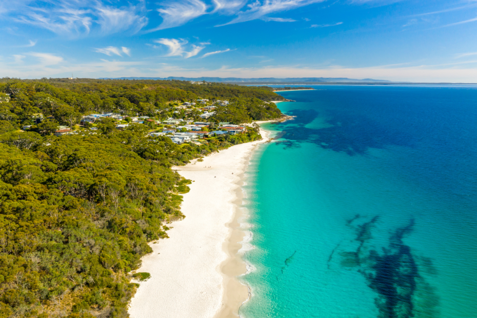 10 Dog-Friendly Beaches On The South Coast - Baxta