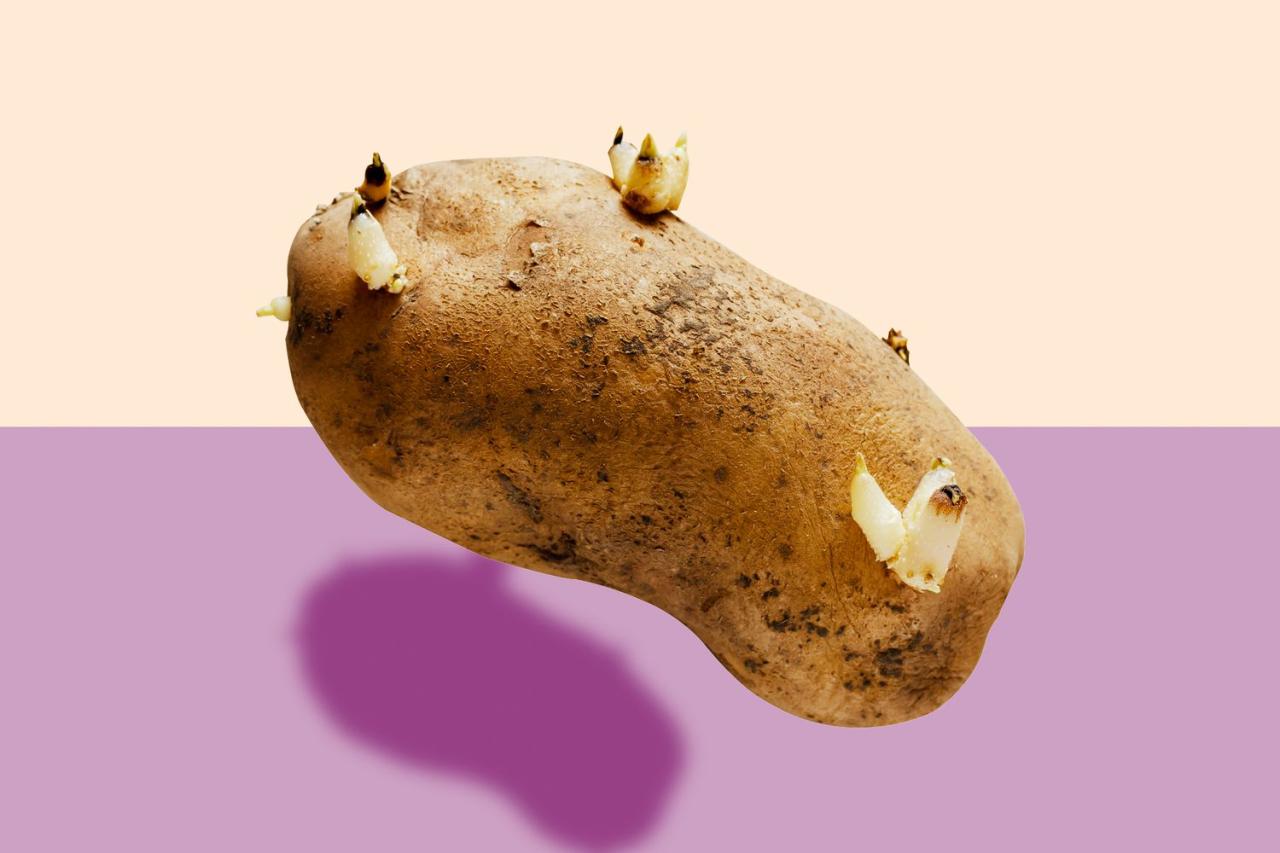 Do Potatoes Make You Poop? Unveiling The Truth