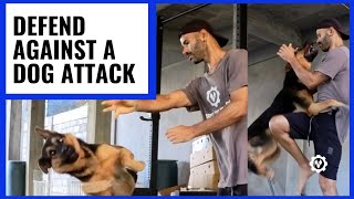 How To Defend Against Dog Attack - Youtube