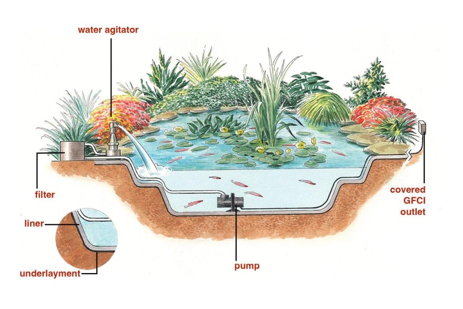 Everything You Need To Know To Build The Perfect Backyard Pond - This Old  House